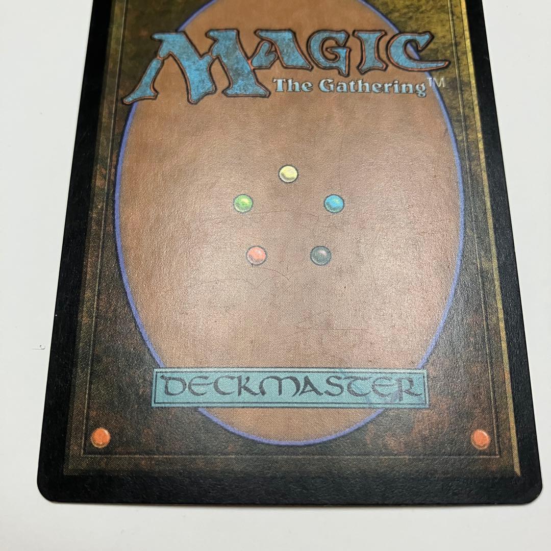 MTG 日を浴びるルートワラ 日本語版 foil 1枚 TOR版