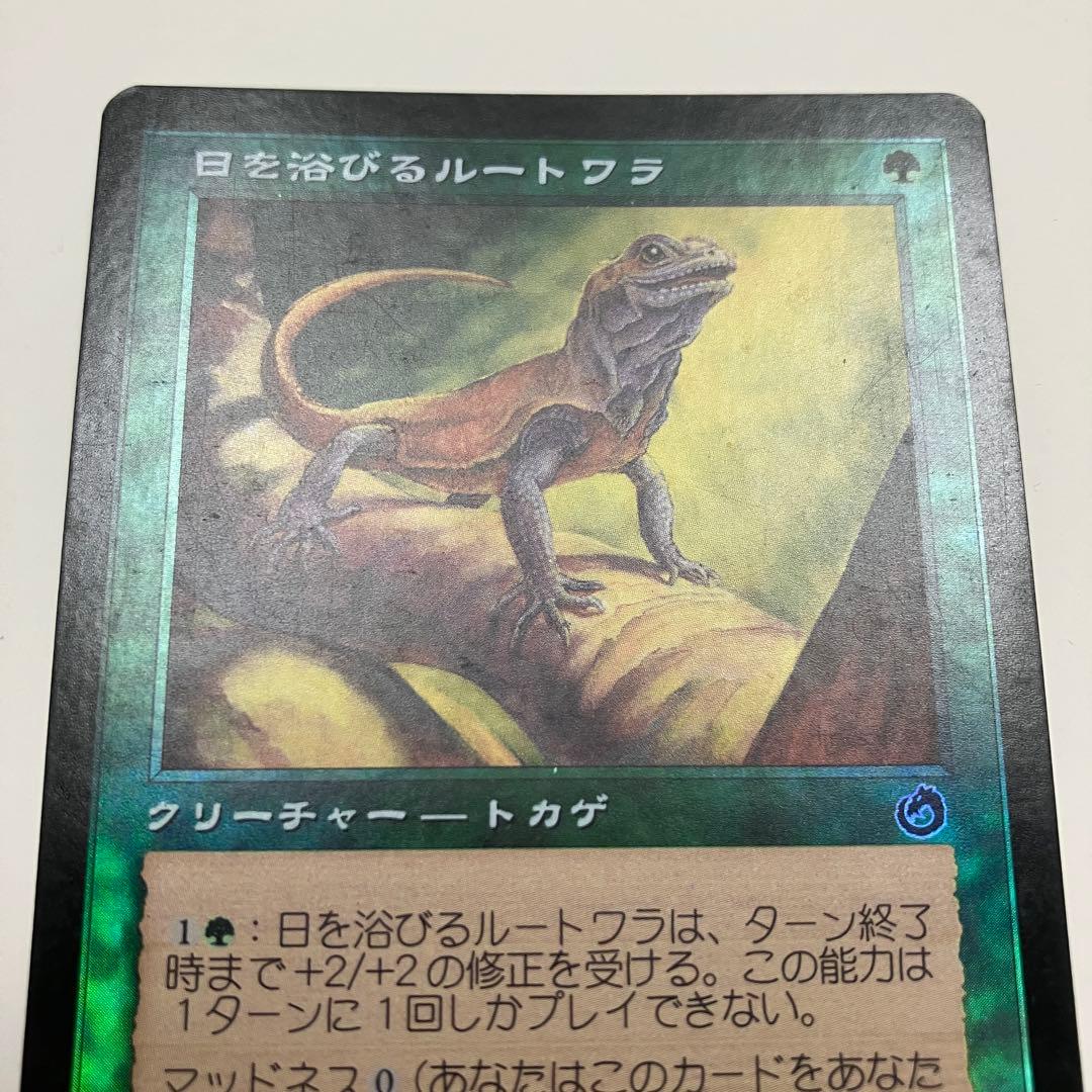 MTG 日を浴びるルートワラ 日本語版 foil 1枚 TOR版
