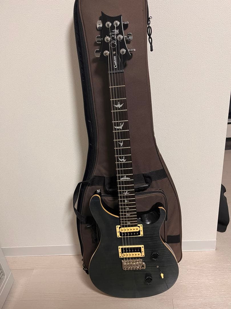 ギター PRS SE Custom 24