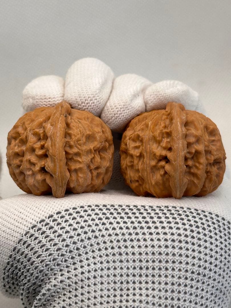 【形良い】文玩核桃 白狮子 40mm