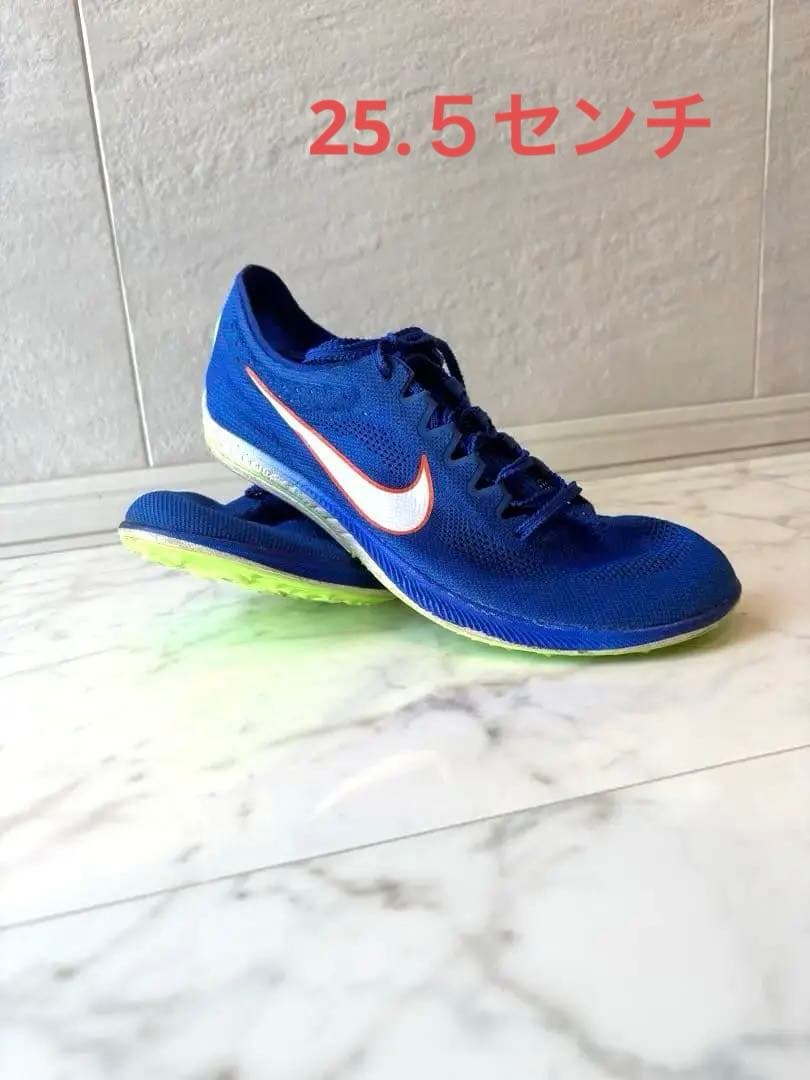 【25.5㎝】Nike ドラゴンフライ　ブルー